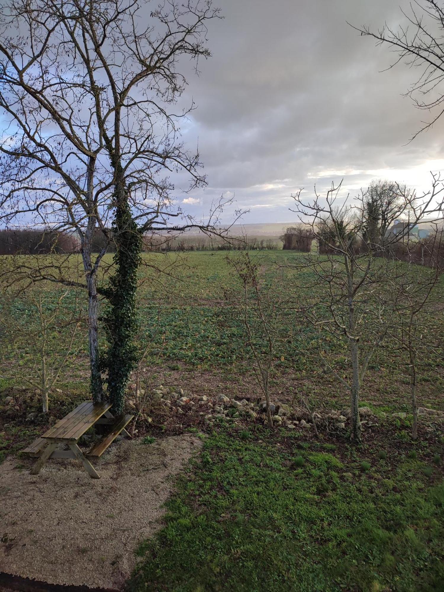Gite De Montrancon Landes  Экстерьер фото